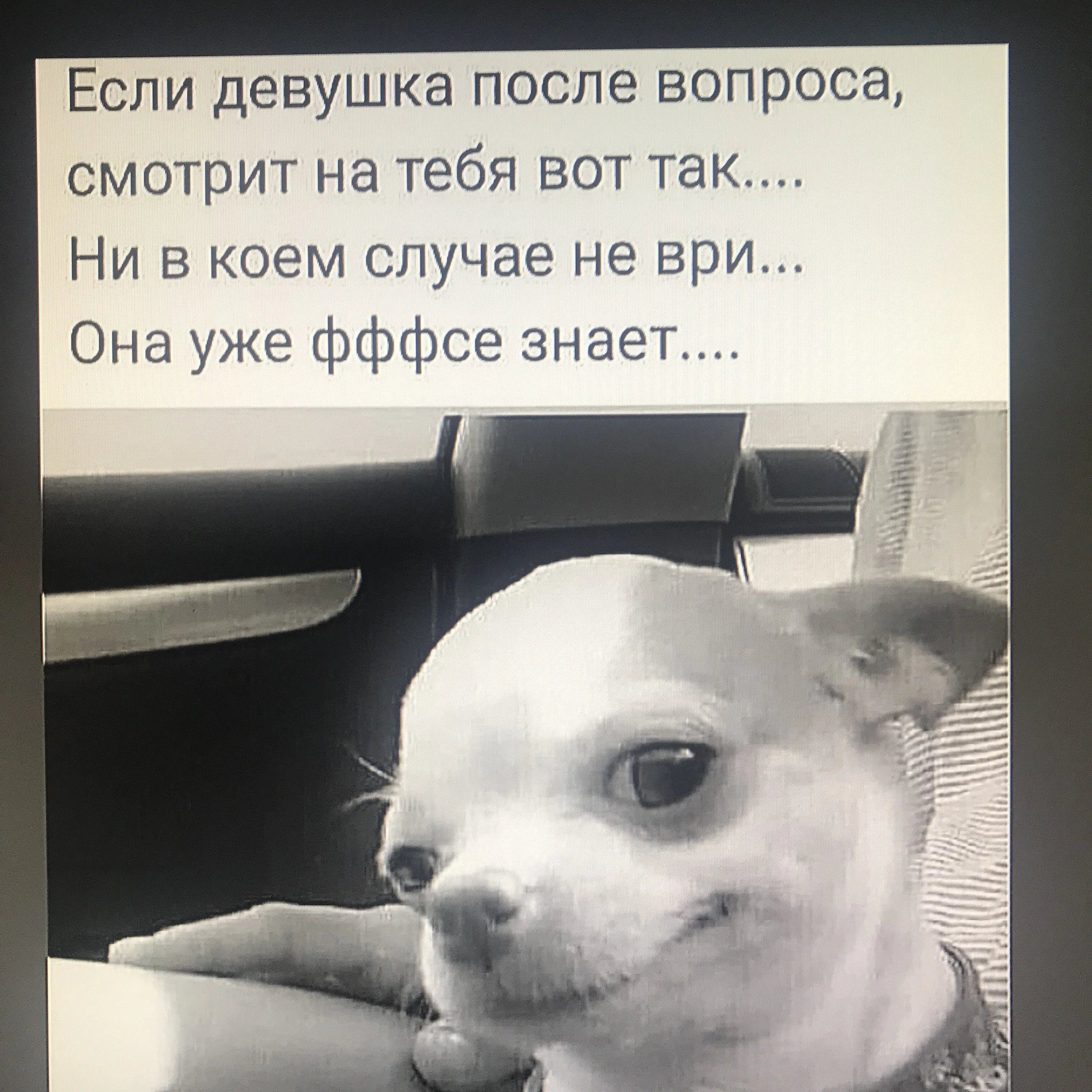 dY2w7sgITau7pLvJblfAvg.webp