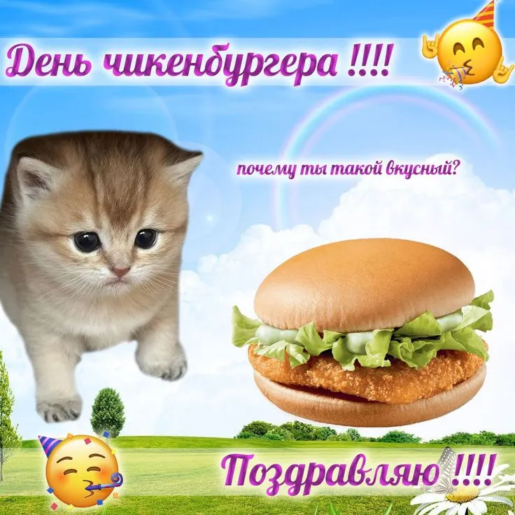 e102c651650f121a418de80c54e51de6.webp