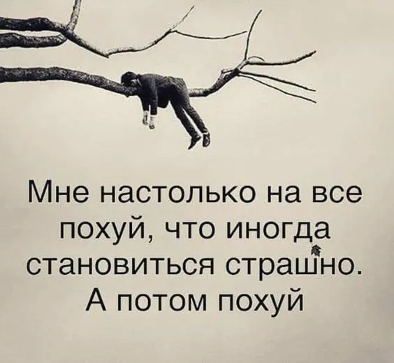 e5126f310771e83102f959cdec00afbe.webp