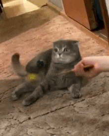 e5326035e212.gif