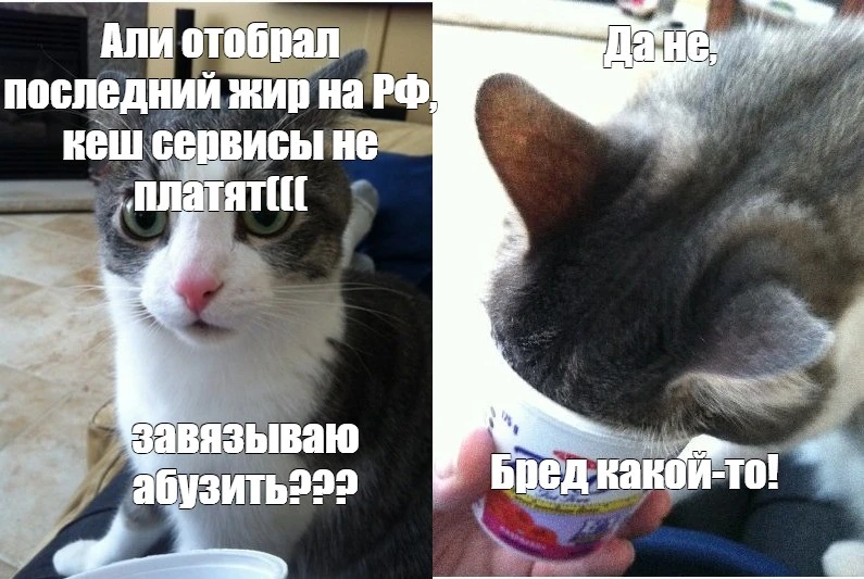 e762b86d5fac7f0fb583dabdcac15c60.webp