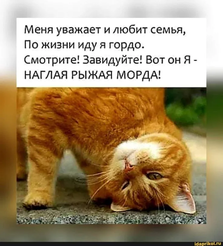 e7d1beeb5fd1785f3cdfa5a89548a39a.webp