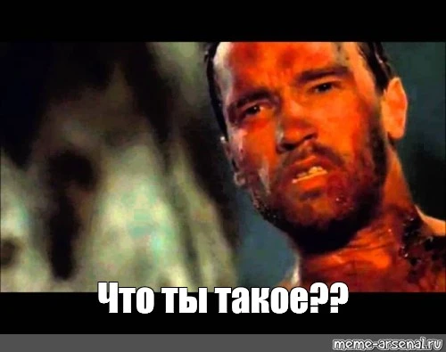 e8127e9e611bf2dce3849e8925f143be.webp
