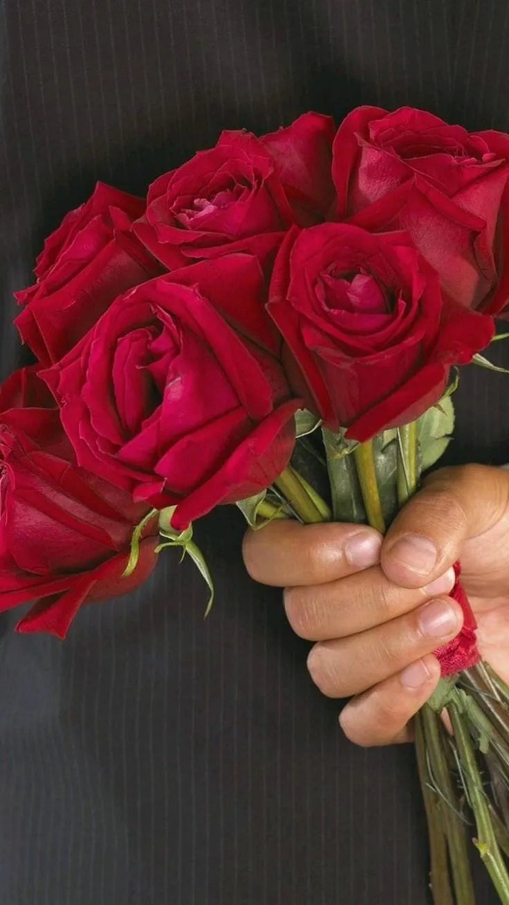 e9eb1a641efea0e8826481ebed12f670.webp