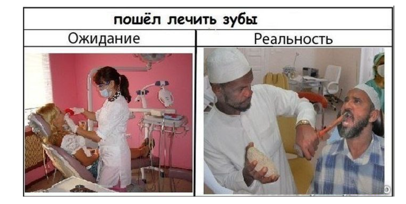 ebc26ddfa07445a6b9a0a72838544c75.webp