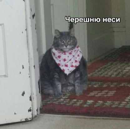 eda.webp