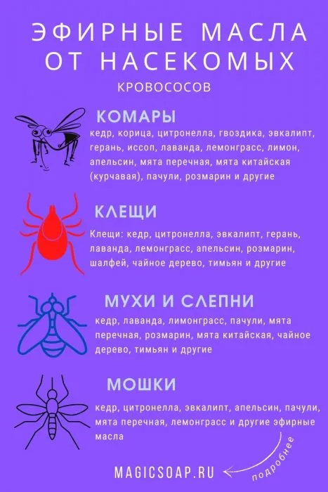 efirnye-masla-ot-nasekomyh-467x700.jpg