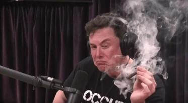 elon-musk-pot-marijuana-cannabis.webp