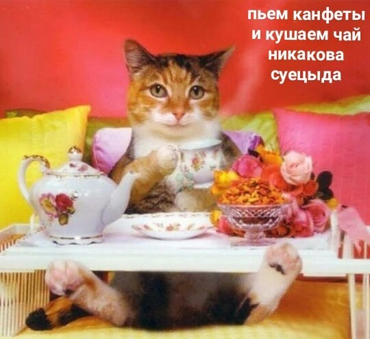 EOEk1ueJy5g.webp