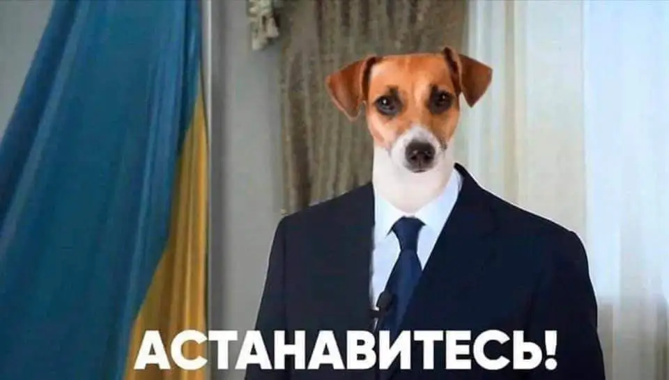 EPwJ5WBXkAA4lSj.webp