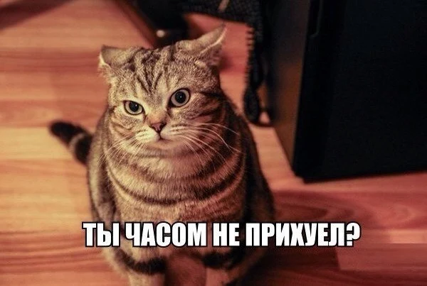 EUjz8v08TfM.webp