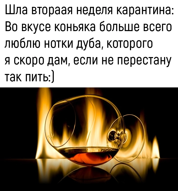 ExQoutgwpO8.webp