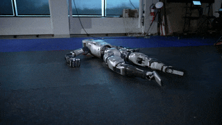 ezgif-6-a440ecac00.gif
