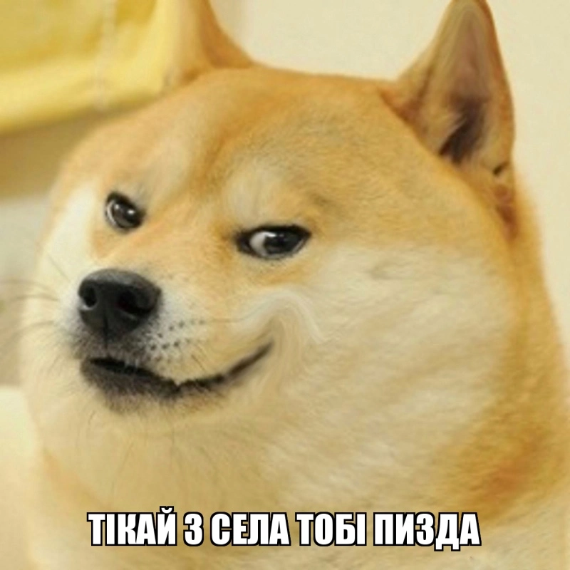 F134322E-6CA8-4D7E-B7AE-4D25359275A5.webp