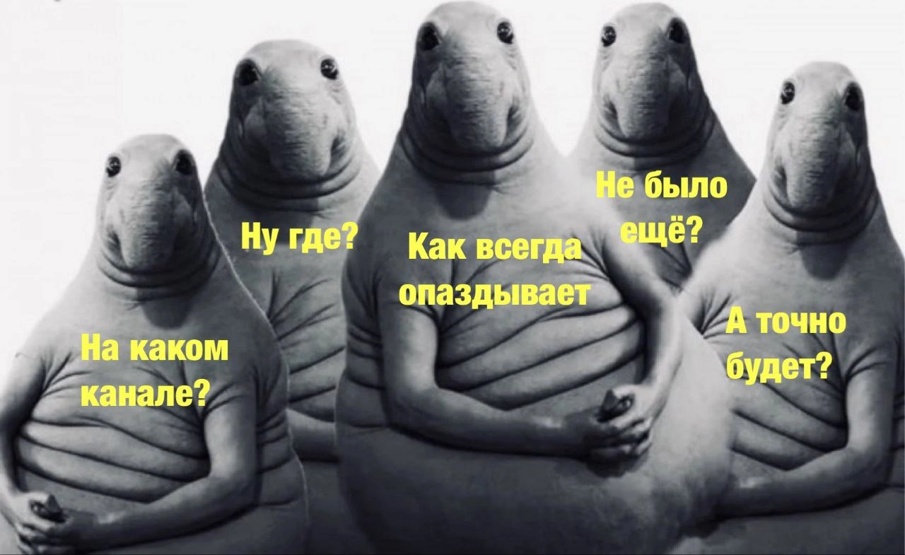f8df60b1cae3e07955c486dd8170f0cf0361eaa6_1280.webp