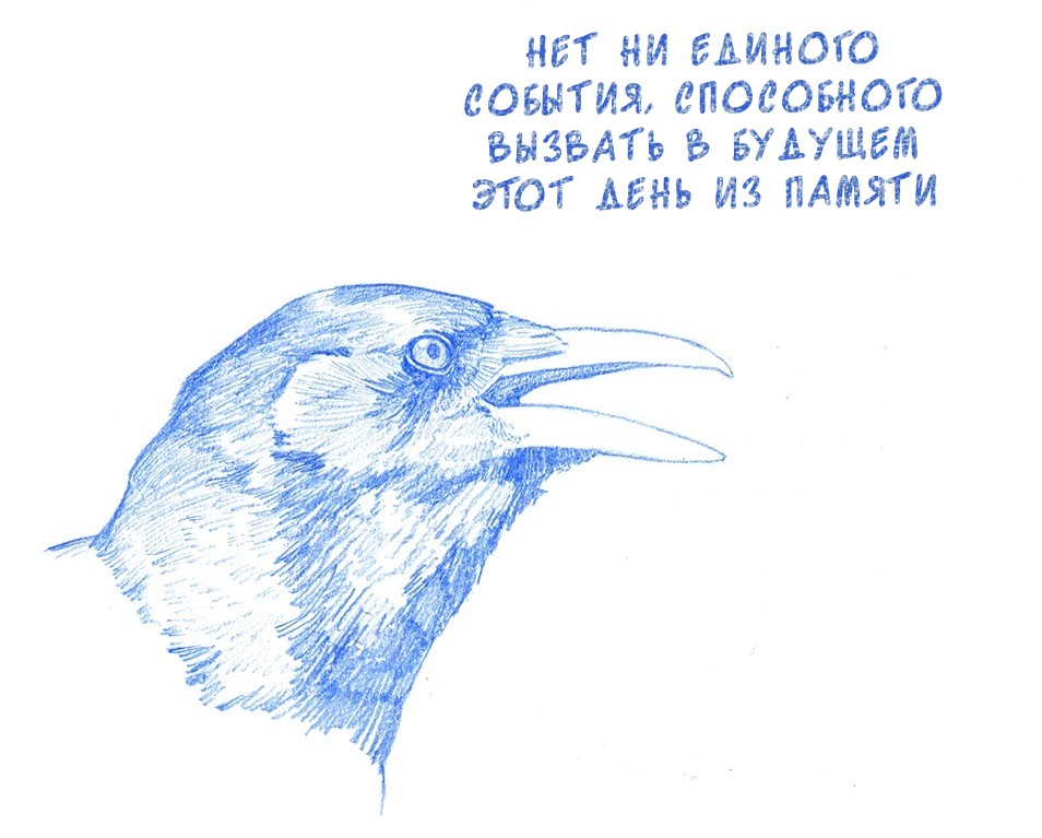 falseknees-Комиксы-птицы-5964354.jpeg