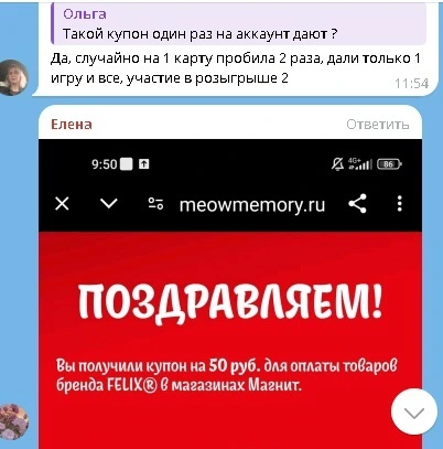 феликс.webp