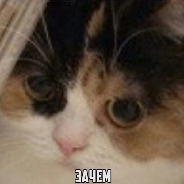 file.webp