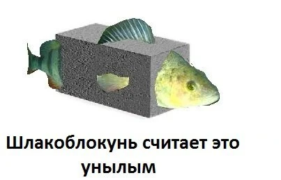 flghfDkhy9A.webp