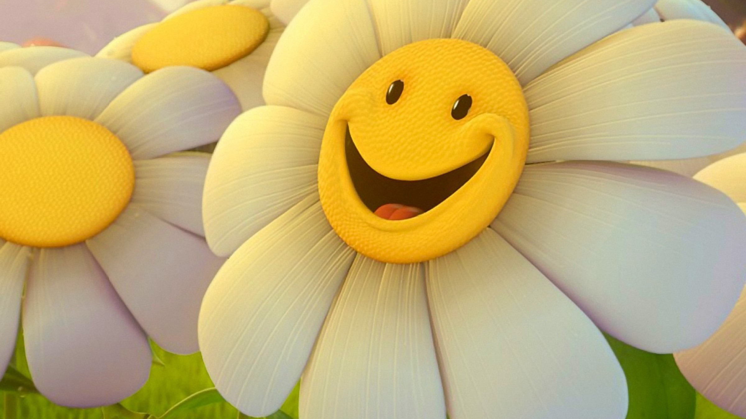 flowers-funny-2400x1350-wallpaper.jpg