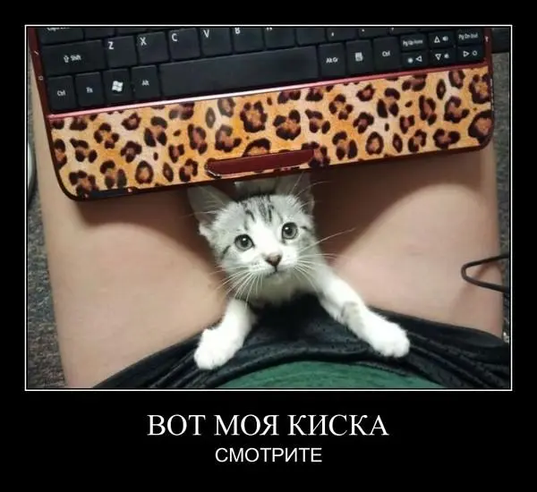fullsize.webp
