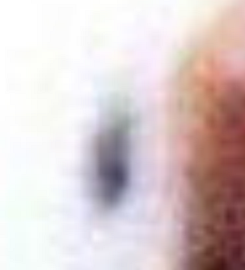 g.webp