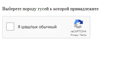 g.webp