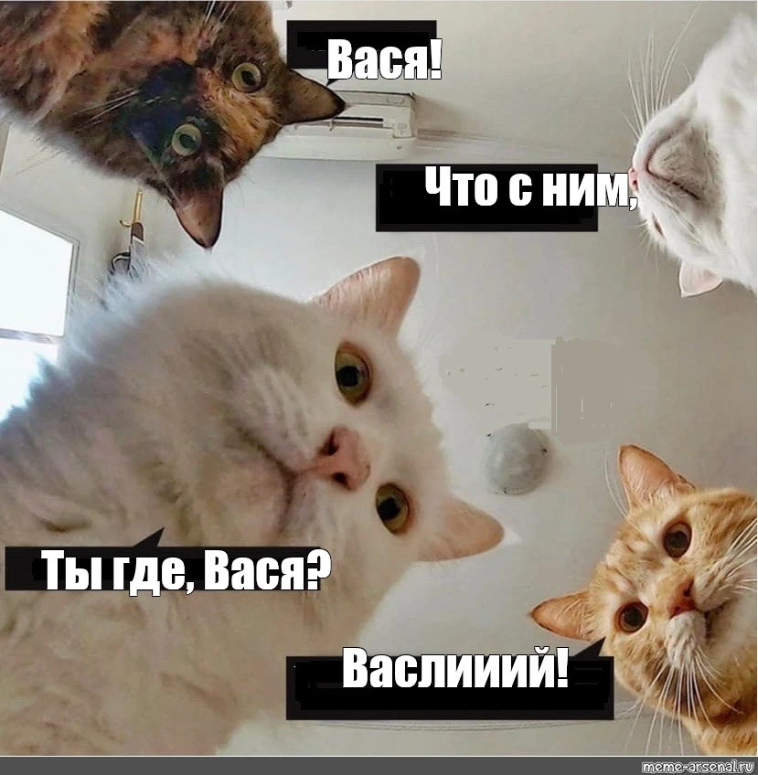 Где ВАся.webp
