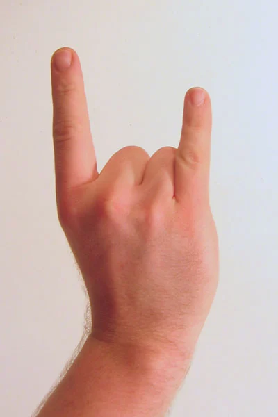 Gesture_raised_fist_with_index_and_pinky_lifted.webp
