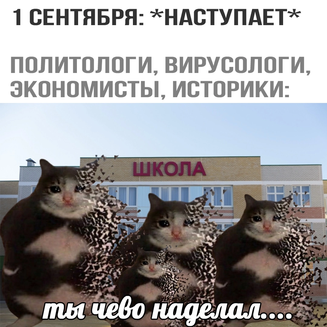 GOZECkXm9Pw.webp