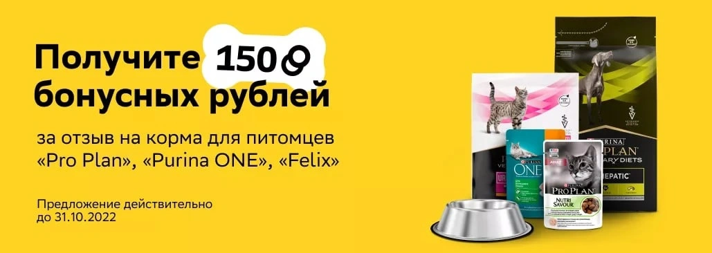 gR_ylauSIwI.webp