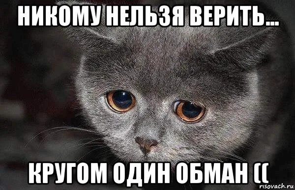 grustnyy-kot_96908482_orig_.webp