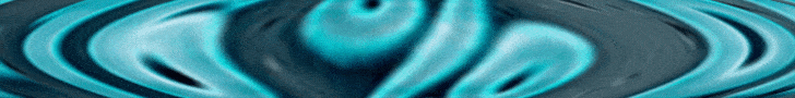 GUTSY DESIGN (2).gif