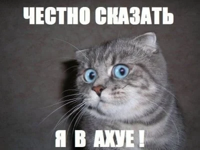 GzNgQaAtoaE.webp