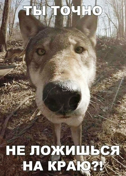 H0tAiL6CUGo.webp