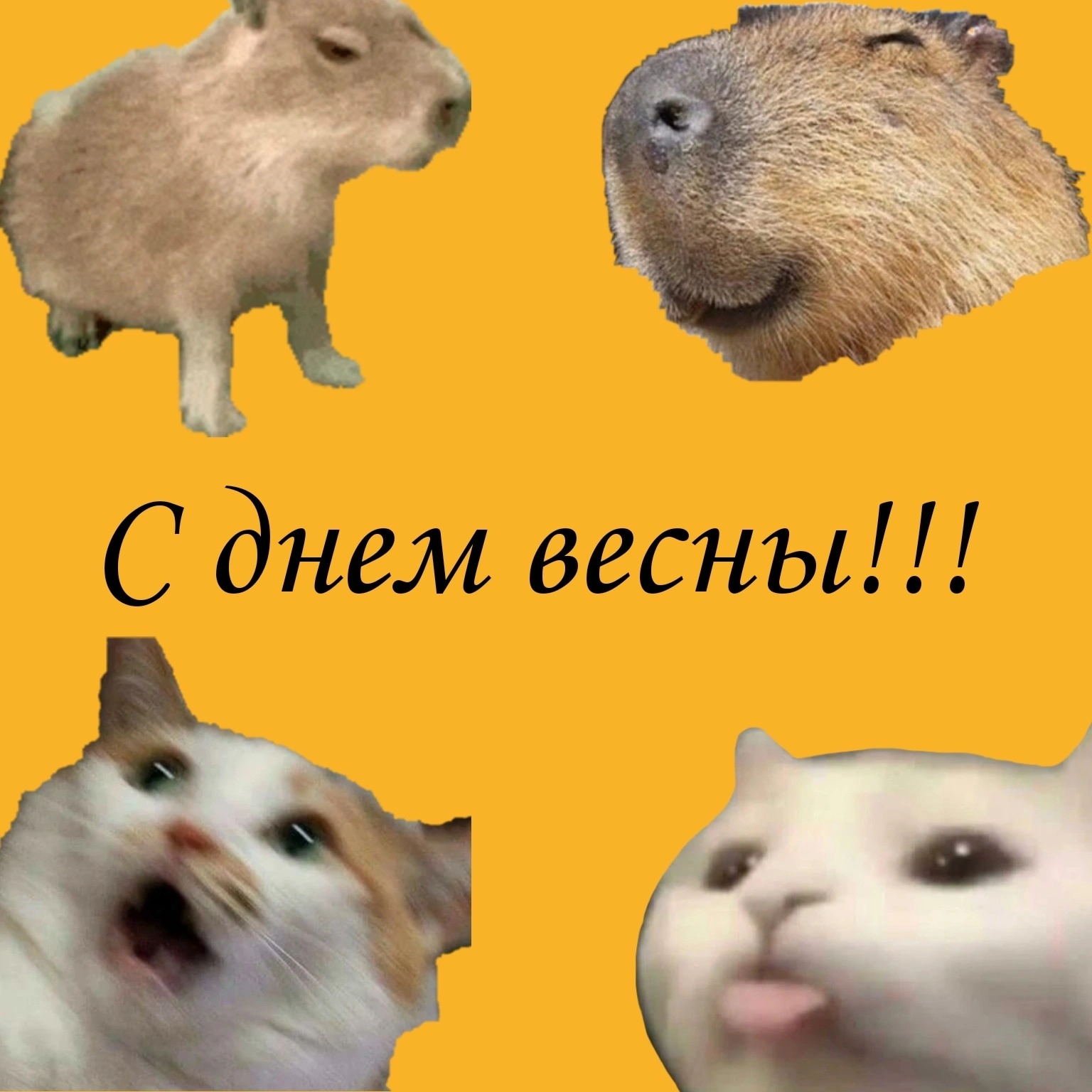 hCVzuBc6IyI.webp