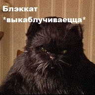 hfgh.webp