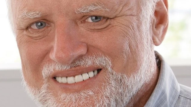 hide_the_pain_harold.webp