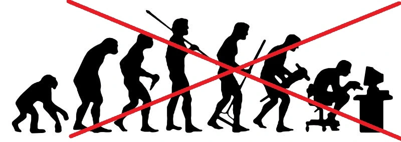human_evolution.webp
