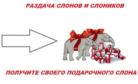 i (1).webp