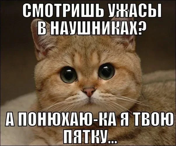 i (3).webp
