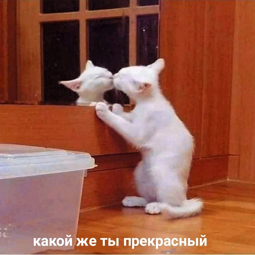 i-fiuQJYlmg.webp