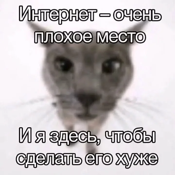 i.webp