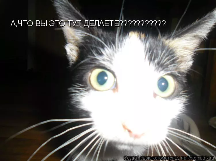 i.webp