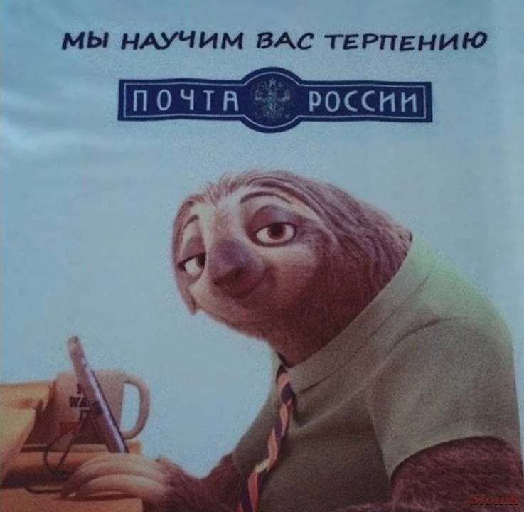i.webp