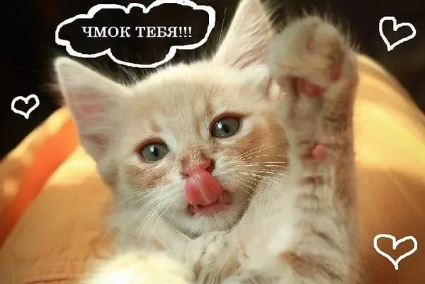 i.webp