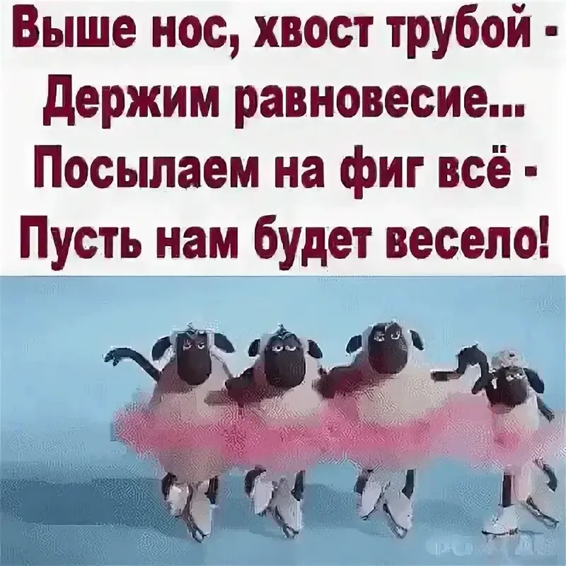 i.webp