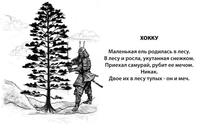IBdu76qKqgE.webp