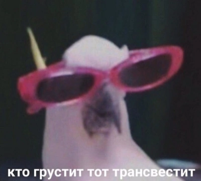ifjeItWG238.webp