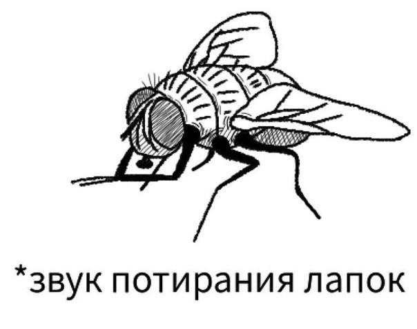 iLYLJnntwLc.webp